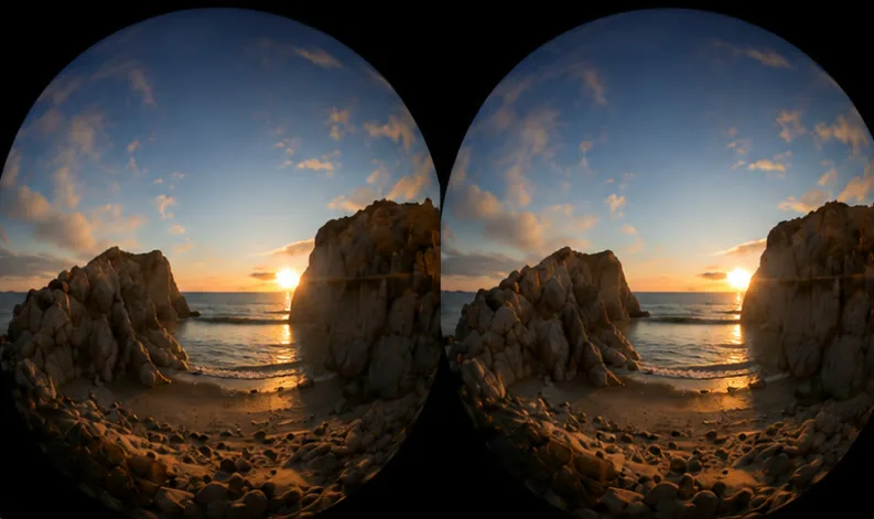 Side-by-Side VR video before processing
